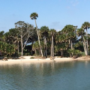 Some of the scenery along the ICW is so picturesque that we wondered if the palms had been planted long ago for a movie shoot.