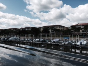 But lots and lots of the ICW is lined with house after house and boat dock after boat dock.