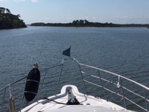 We saw lots of wide open spaces after leaving St. Augustine.  Amazingly, we've seen just one piece of litter (a coffee cup that we generously decided had inadvertently blown off a boat) in the unpeopled parts of the ICW.