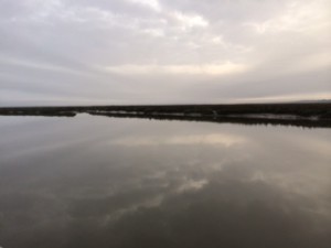 Clouds in the grey sky reflect in the still water at our New Tea Kettle Creek anchorage in early morning.