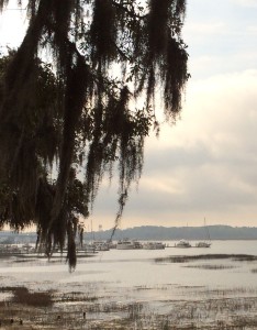 Dot.Calm is the second boat from right hand side of picture.  This shot was taken from park above Beaufort City Marina.