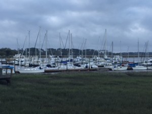 Golden Isle Marina is heavily populated with sailboats along with a smattering of good size power boats.