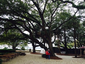 Ann and Cliff pause for a picture under one of the beautiful, ancient live oaks at the Harbour Town Yacht Basin.