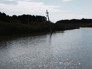 You also have to be on the look-out for dangers to navigation.  We all thought this was a submerged sailboat.  Not so.  It's a power line that somehow ended up in the ICW.