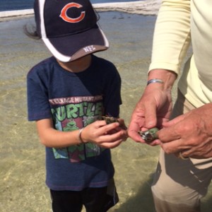 Jassa and Grandpa comparing sea snail specimens.