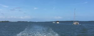 Here is a parade of boats headed north.  When you think of how long the ICW is just along Florida's east coast is (xxxx miles), it is pretty amazing that this many boats ends up all in a row!