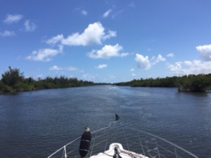 This scene of a mangrove lined canal could be straight out of the Keys.  Perhaps the "canal" is a bit wider, but vegetation is identical.