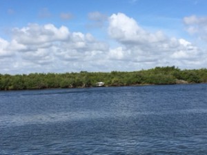 See that boat stuck in the mangroves?  We wondered whether he was getting ready for an early hurricane season.  (More about that in another blog!)