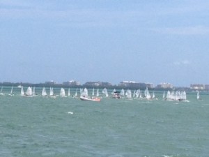 The sailing community is alive and well in Miami as evidenced by this regatta of   little kids in Optimists.