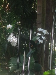 These black and white spears placed amongst white orchids give you an idea of how coordinated the art is to the gardens.