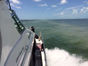 The brown cloudy water on the right is evidence of the bottom being scraped by a boat that was heading north in the same channel as we were heading south.  Dot.Calm's wake was clear as could be.