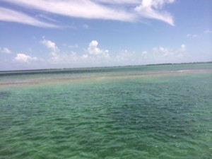 This photo shows how shallow the water can be.  We are in a "deep" channel (i.e., more than 3 feet) with barely covered sea grass next to us and a sand bar close by.